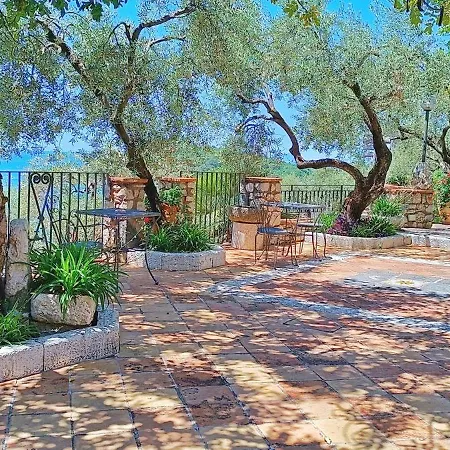 Arenauta ガエータ