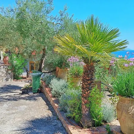 Arenauta 2* ガエータ