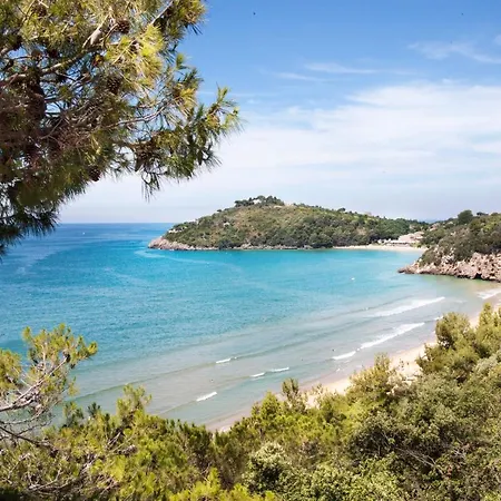 Arenauta Gaeta