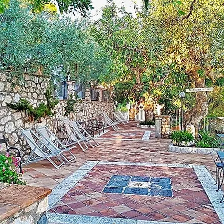 Arenauta فندق