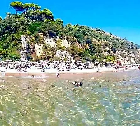 Arenauta جنوى